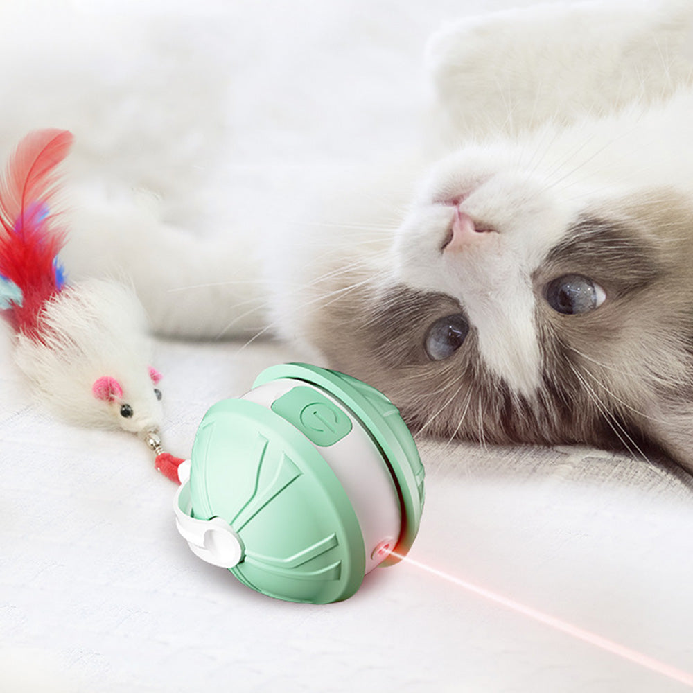 Electric Automatic Moving Rolling Dog Toy Interactive Dog Ball Toy Green