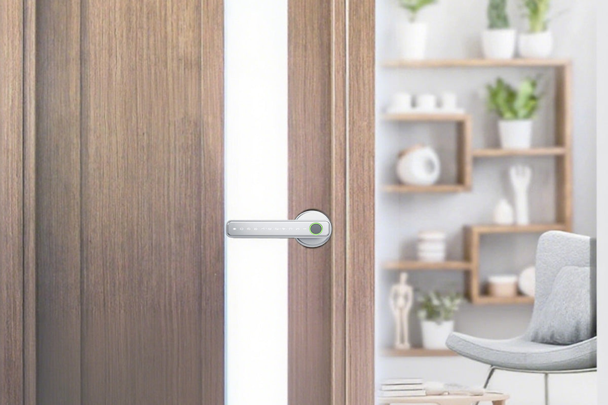 5 in 1 Smart Door Lock Fingerprint Door Knob with IC Cards and Backup Keys -Silver