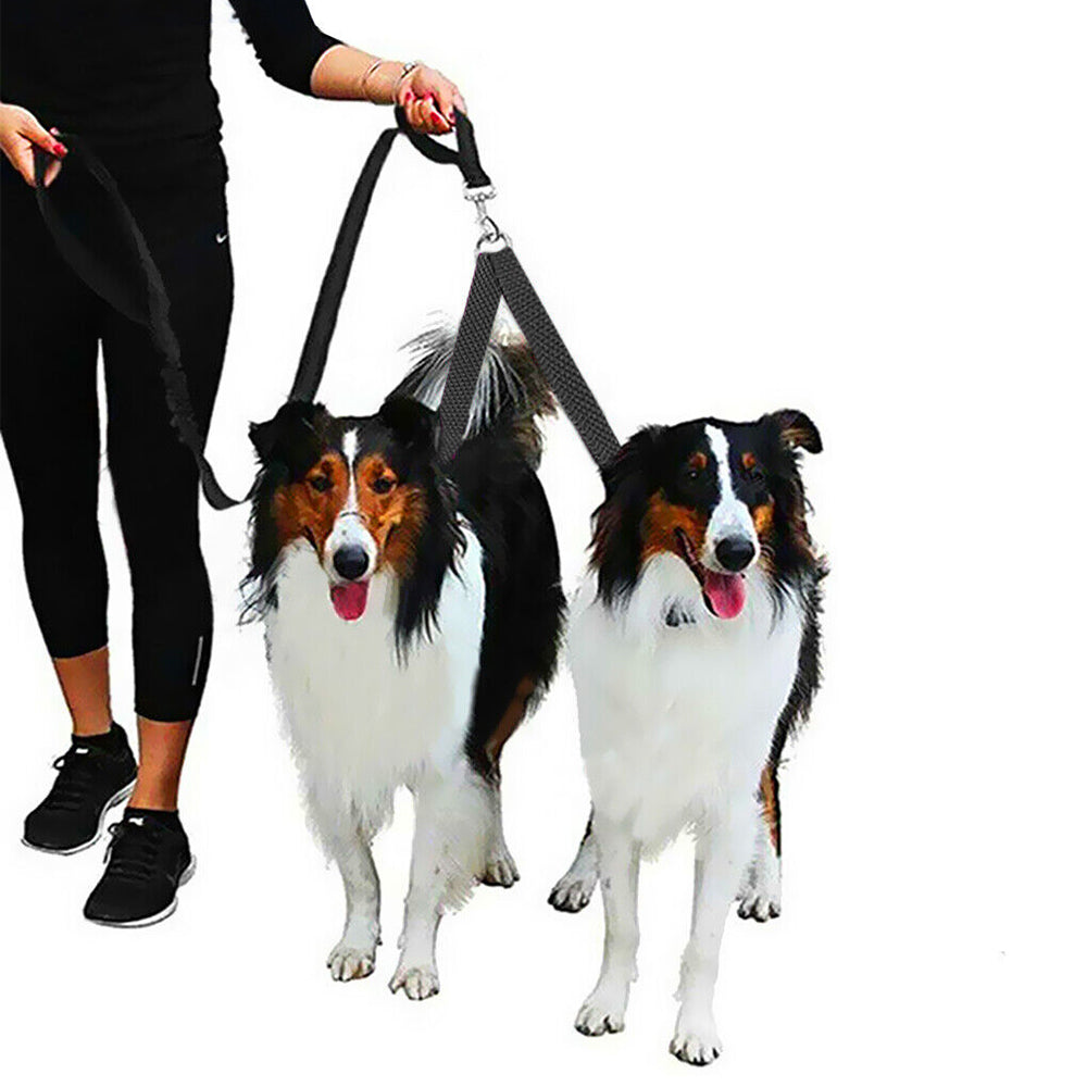 Adjustable Dual Dog Leash No Tangle Coupler Double Pet Puppy Leash Black