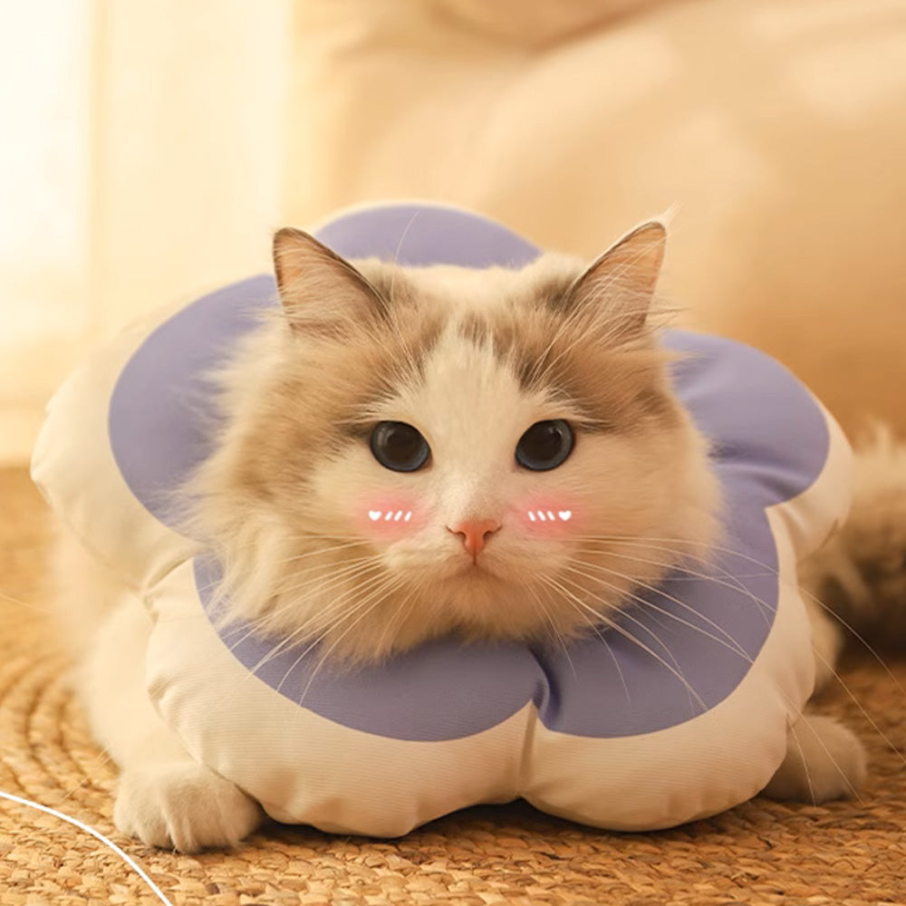 Cat Cone Collar Elizabethan Collar Anti-Bite Lick Cat Recovery Neck Collar Purple