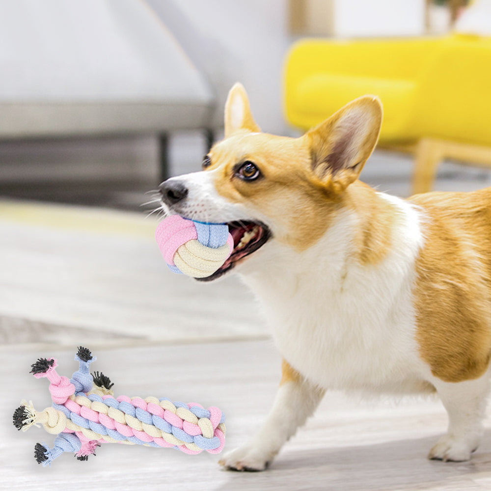 Five-piece Set Cotton Rope Dog Chew Rope Toys Keep Pet Teeth Health