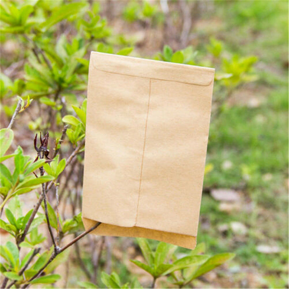 100-Pack Kraft Paper Seed Envelopes Garden Home Storage Bags Mini Envelopes 6x11cm for Seeds Jewelry