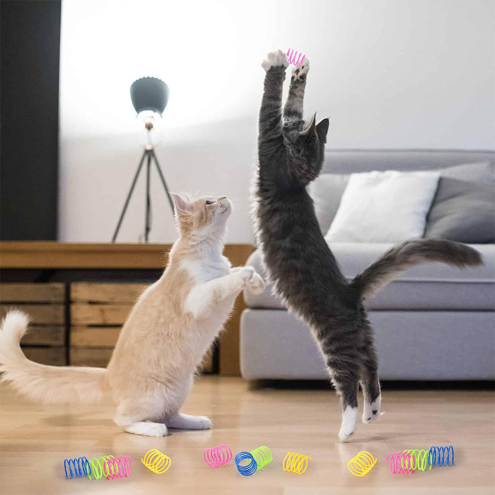 40Pcs Cat Spring Toys Colorful Cat Spiral Bouncy Toys Interactive Toys for Cats and Kittens