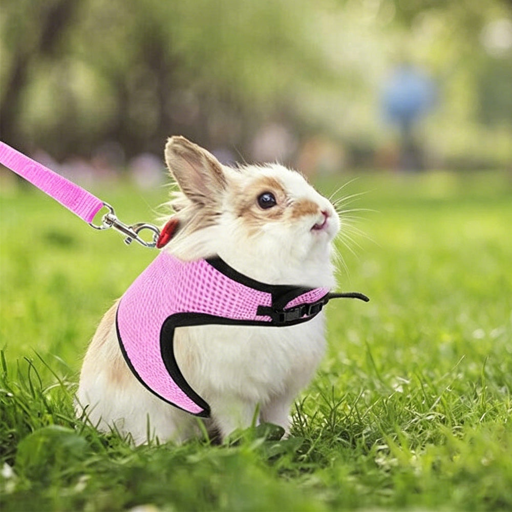 Rabbit Harness and Leash Set for Bunny-Pink