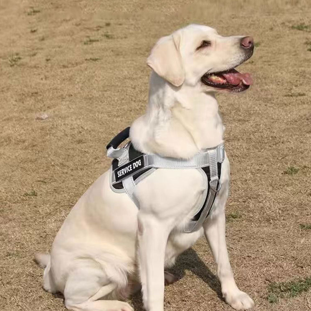 No Pull Pet Dog Harness Adjustable Dog Vest with Reflective Strip Black