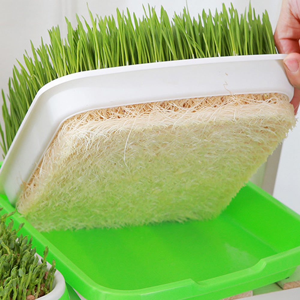 5Pcs Set Seed Sprouting Trays with Drain Holes Microgreens Growing Container Seed Germination Propagation Trays