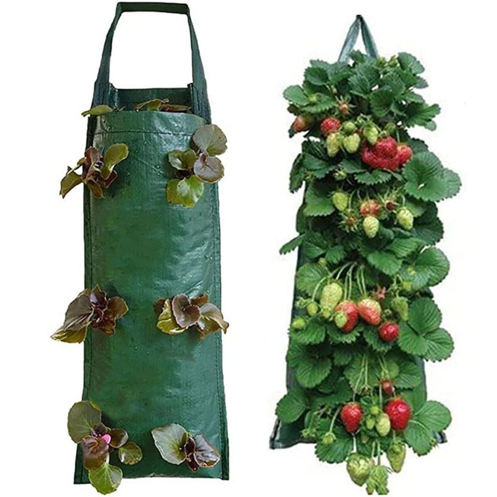 Breathable Hanging Planting Bag Vertical Garden Plant Growth Bag for Strawberry