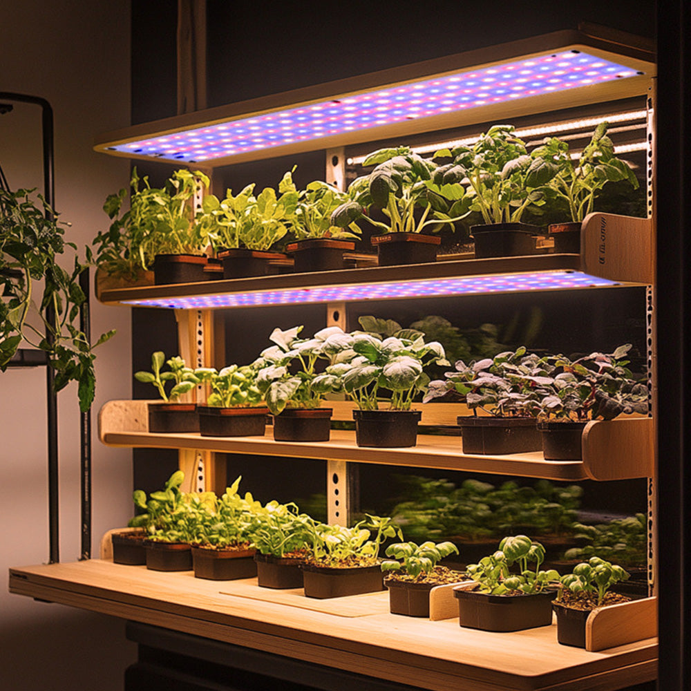 LED Plant Grow Light Full Spectrum for Indoor Plants