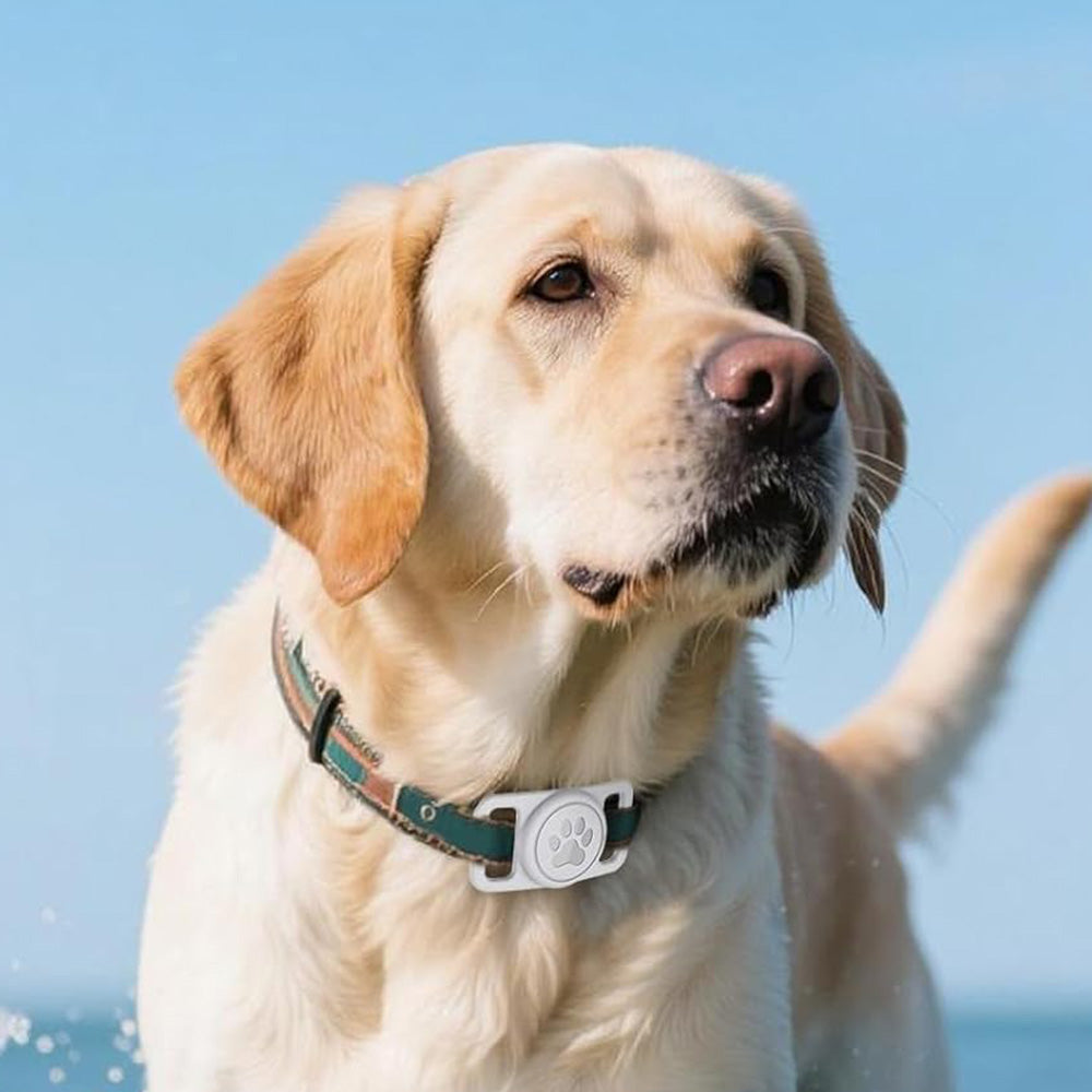 2PCS Waterproof Silicone Dog Collar Holder for Apple AirTag White