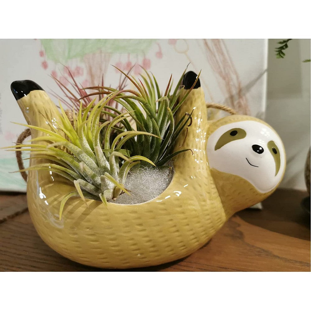 Sloth Hanging Planters Pots Cute Wall Planter Succulent Air Plants Cactus Ceramic Flower Pot-Yellow