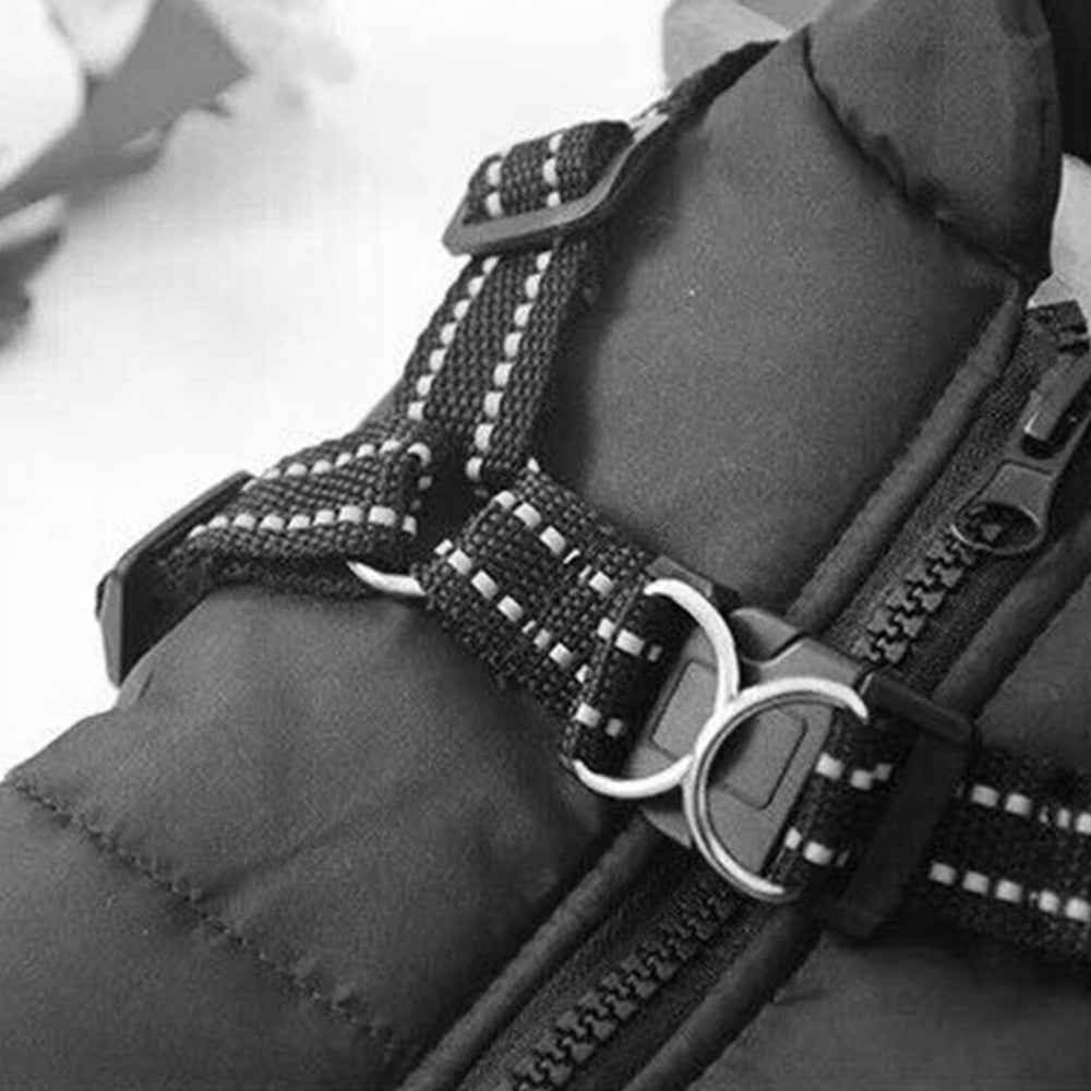 Pet Winter Jacket Padded Adjustable Warm Coats with Zipper (Black)