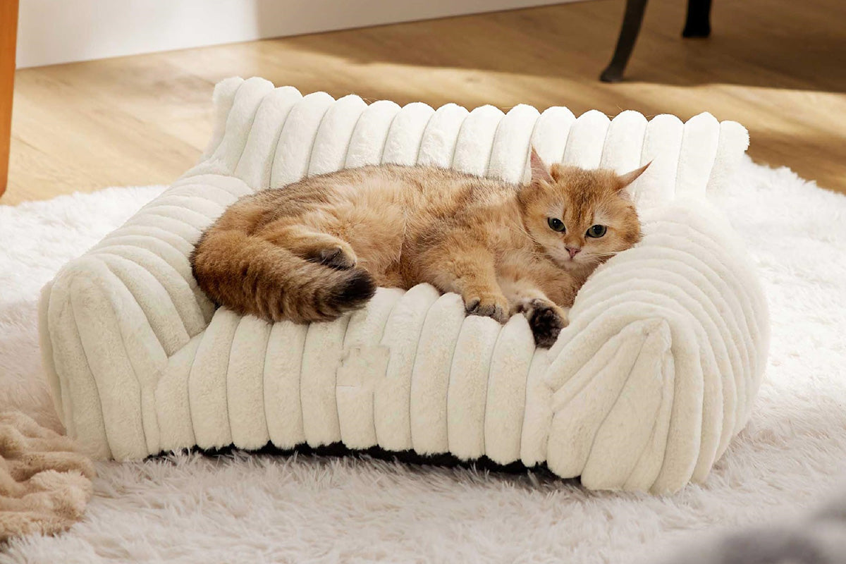 Cat Couch Bed Fluffy Pet Sofa with Removable Washable Cover Non-Slip Bottom -White