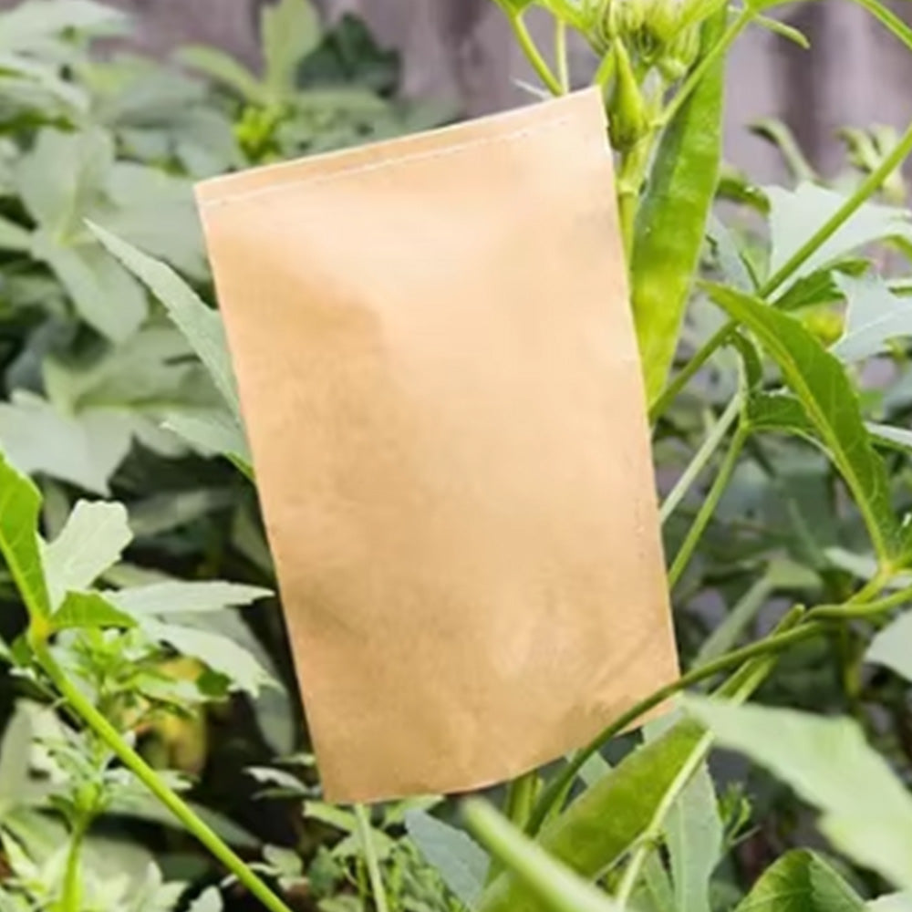 100-Pack Kraft Paper Seed Envelopes Garden Home Storage Bags Mini Envelopes 6x11cm for Seeds Jewelry