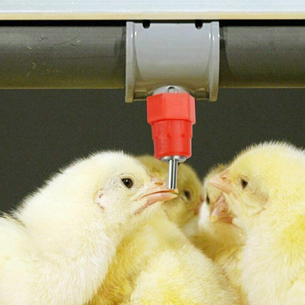 20Pcs Set Poultry Automatic Water Nipple Valves Auto Drinker Waterer Feeder for Chicken Duck Bird