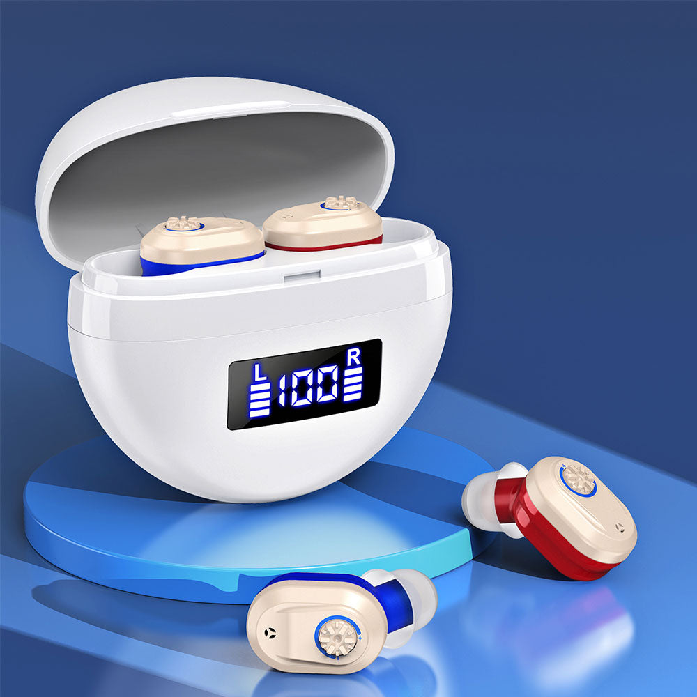 Pair of Invisible Digital Hearing Aids Rechargeable Mini Sound Enhancer Amplifier with Charging Case Style 3