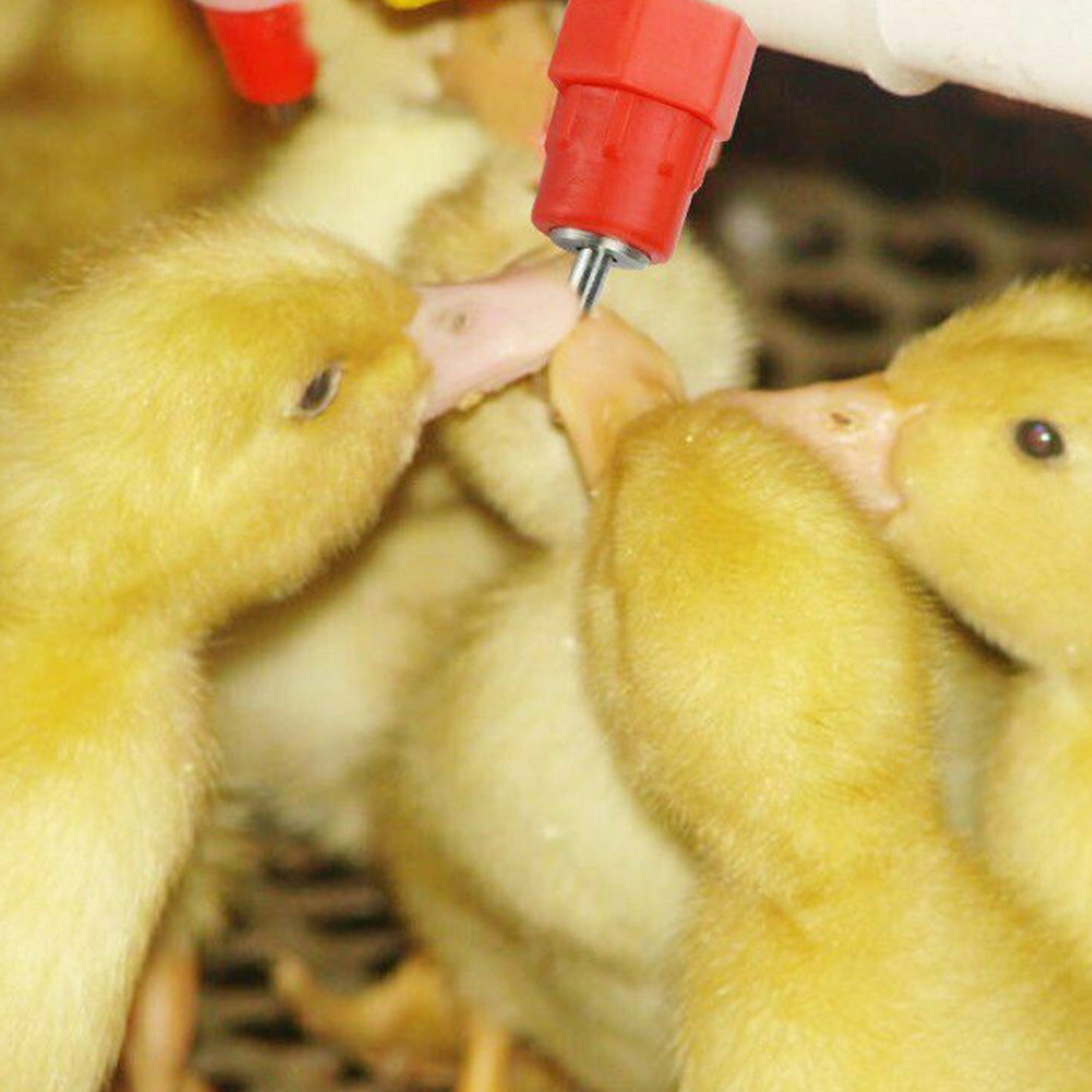 20Pcs Set Poultry Automatic Water Nipple Valves Auto Drinker Waterer Feeder for Chicken Duck Bird