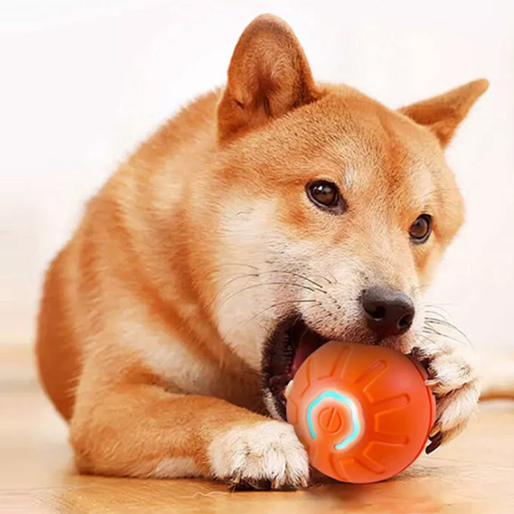 4.5CM Automatic Moving Ball Toy for Cats USB Rechargeable Interactive Vibrating Cat Toy Orange