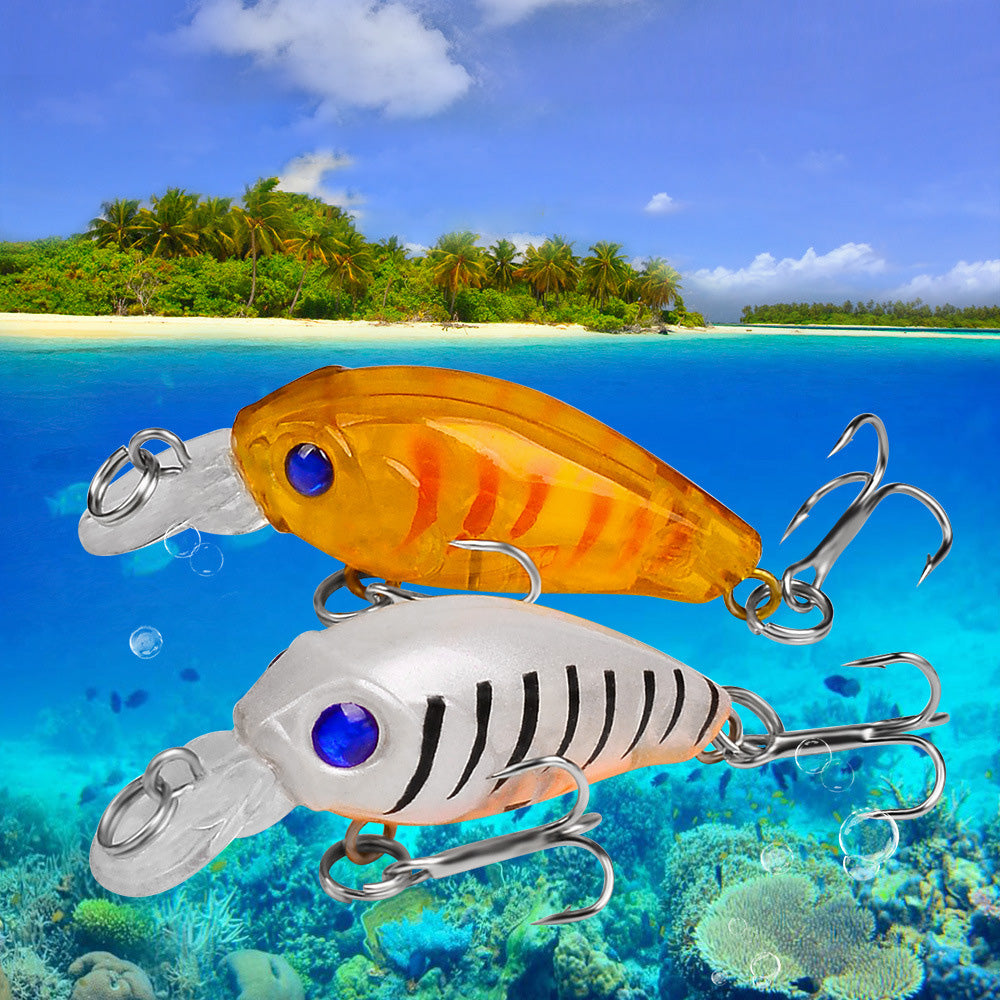 9Pcs Colorful Fishing Lures Small Fake Fishing Bait Freshwater Fishing Tackle Kit for Bass Trout Perch