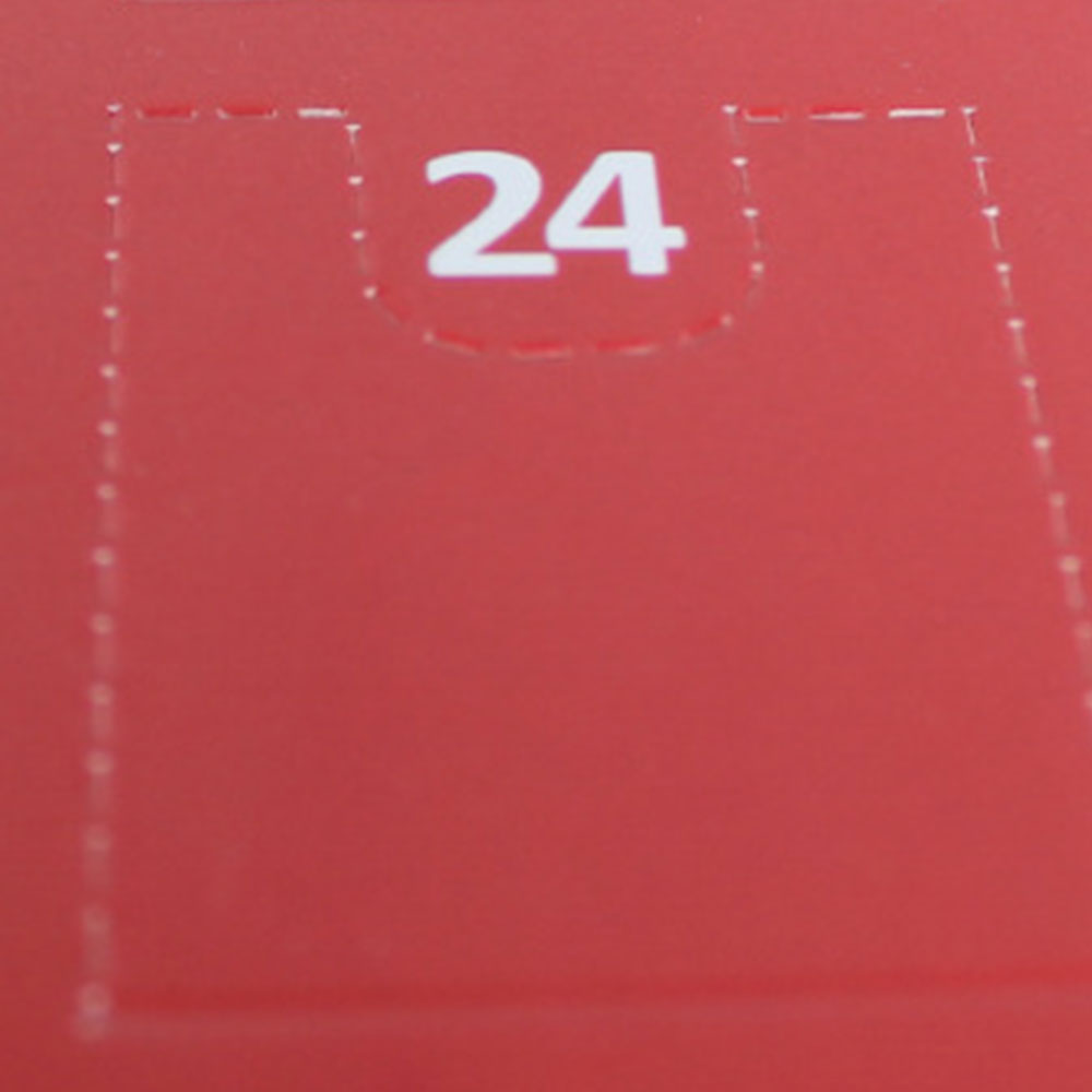24 Days Advent Calendar Brain Teaser Puzzles Game 3D Educational Toys