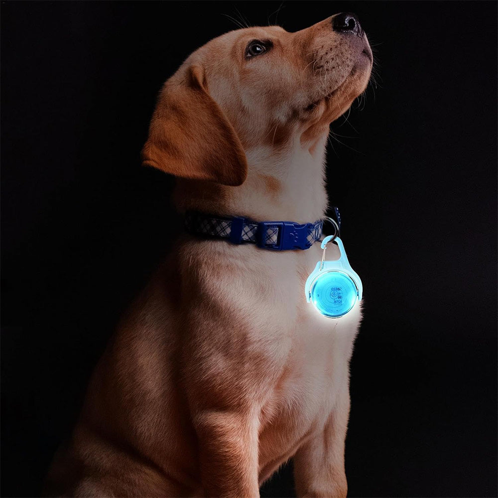 4-Mode Dog Collar Light for Night Walking Rechargeable Pet Collar LED Light Blue