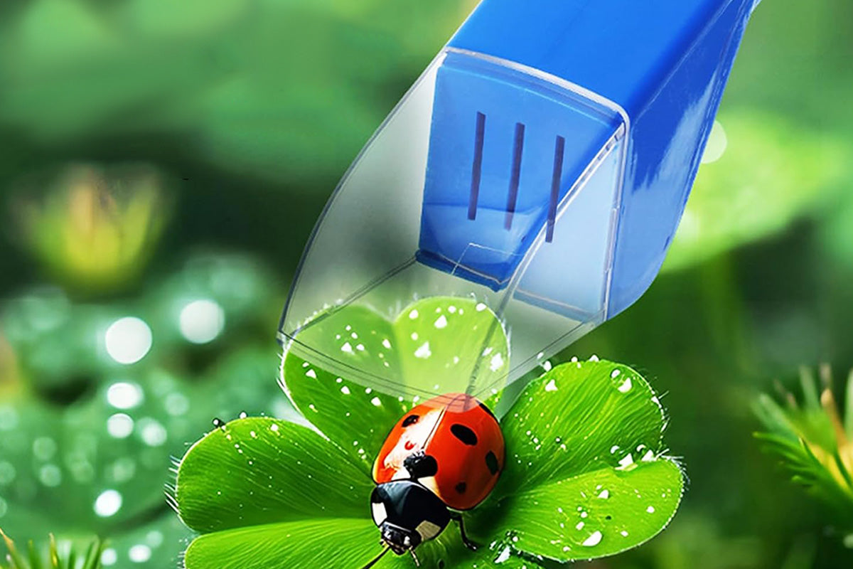 2Pcs Bug Catcher for Little Ones Bug trap Kit for Butterflies Bees-Blue and Yellow