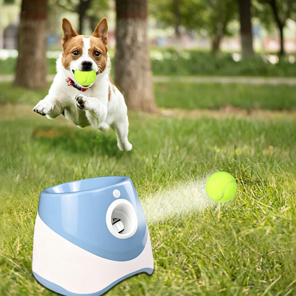 Automatic Dog Tennis Ball Launcher with 3 Balls - Blue