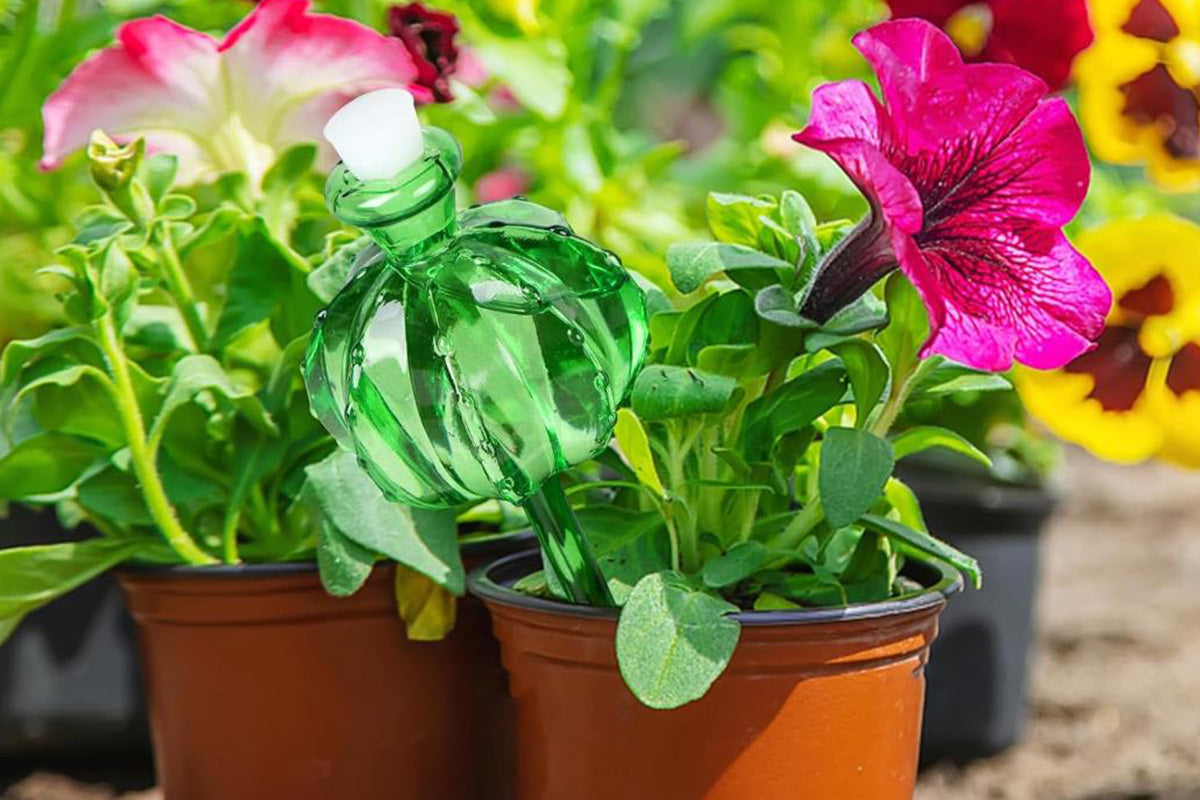 4Pcs Self Watering Globes Automatic Plant Watering Stakes for Indoor Outdoor Potted Plants-Green