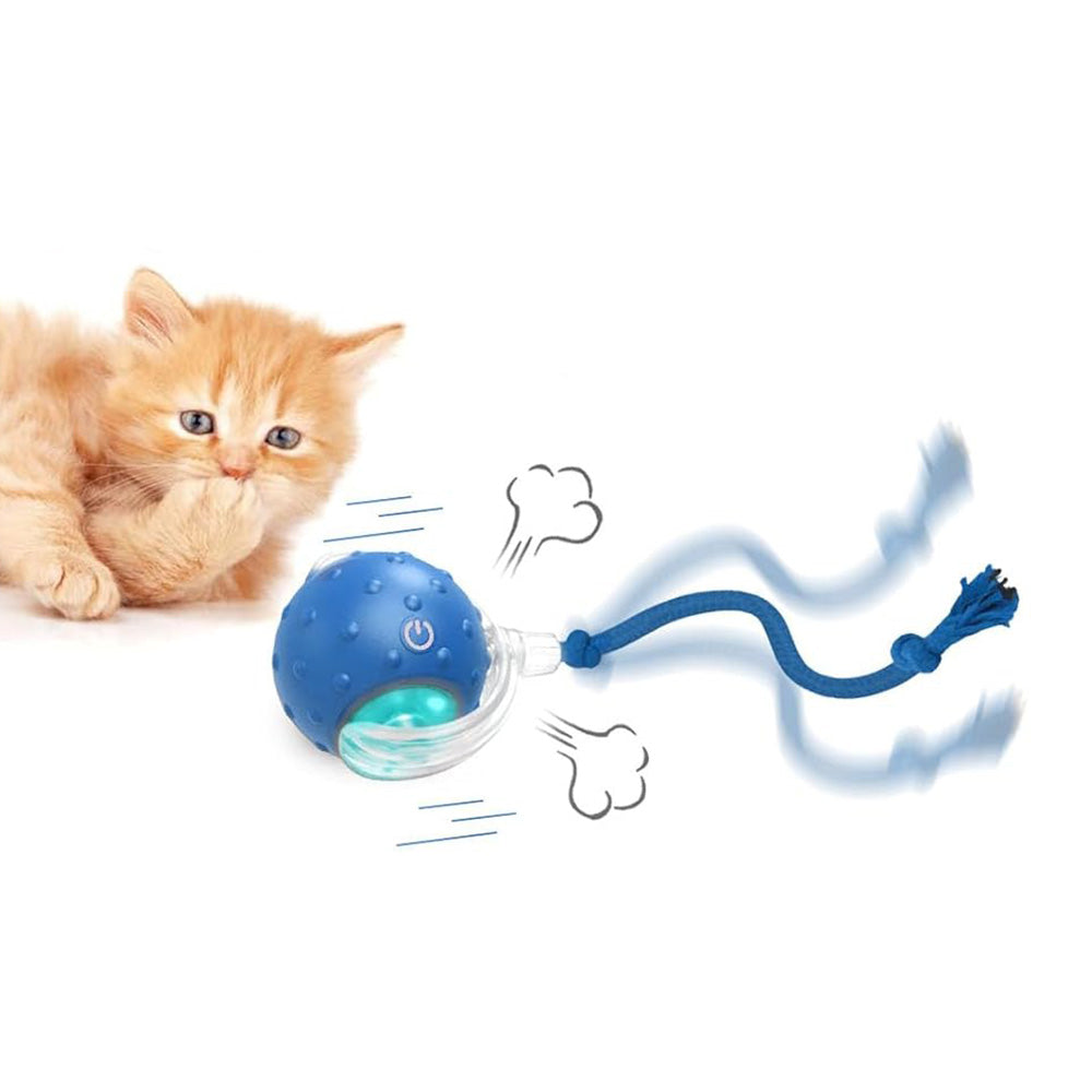 Motion Activate Interactive Cat Toy Rechargeable Smart Rolling Ball with Rope Blue