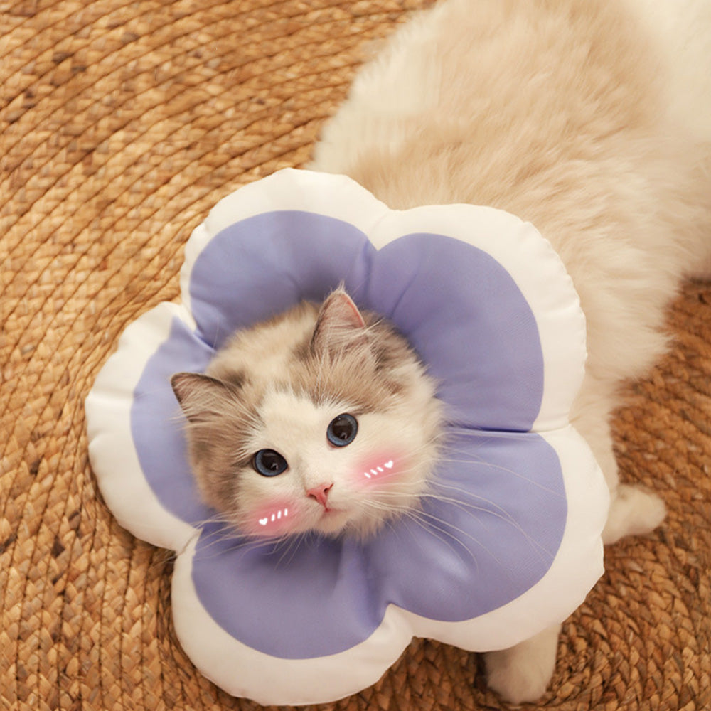 Cat Cone Collar Elizabethan Collar Anti-Bite Lick Cat Recovery Neck Collar Purple