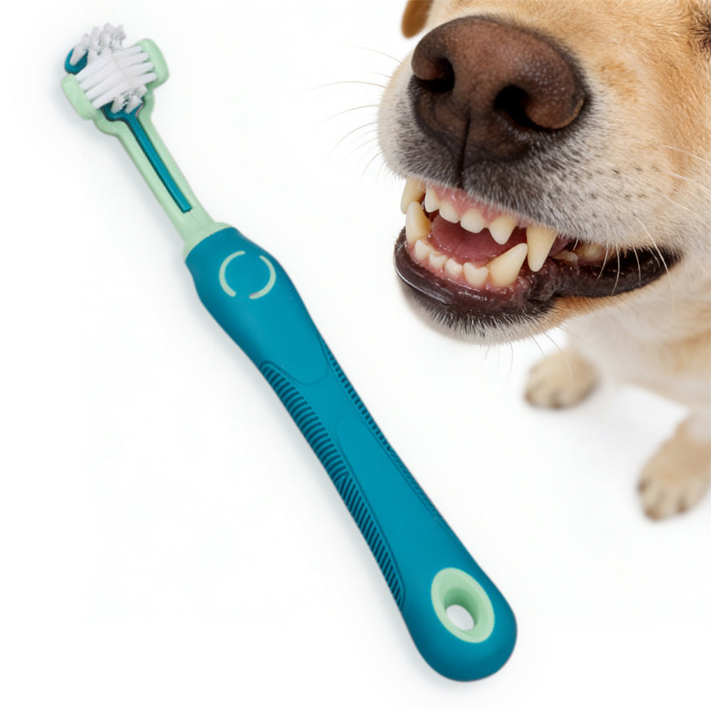 Pet Toothbrush for Dogs and Cats 3 Sided-Green