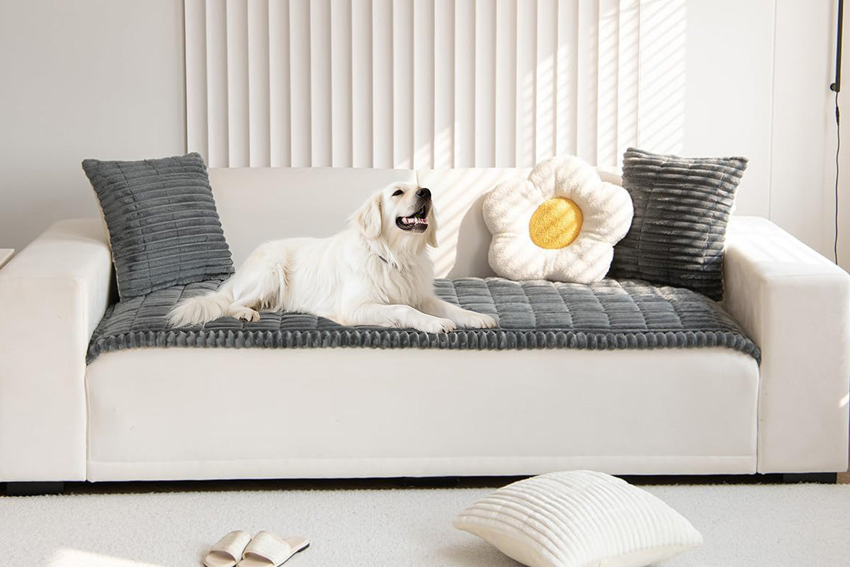 Washable Couch Cover for Dogs Pet - Dark Grey