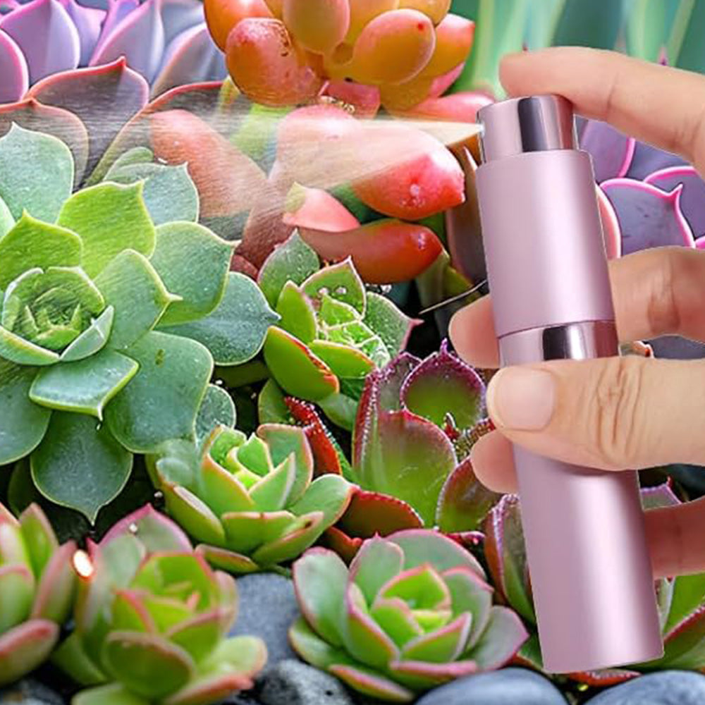 3Pcs 8ml Perfume or Cologne Travel Refillable Spray Bottle