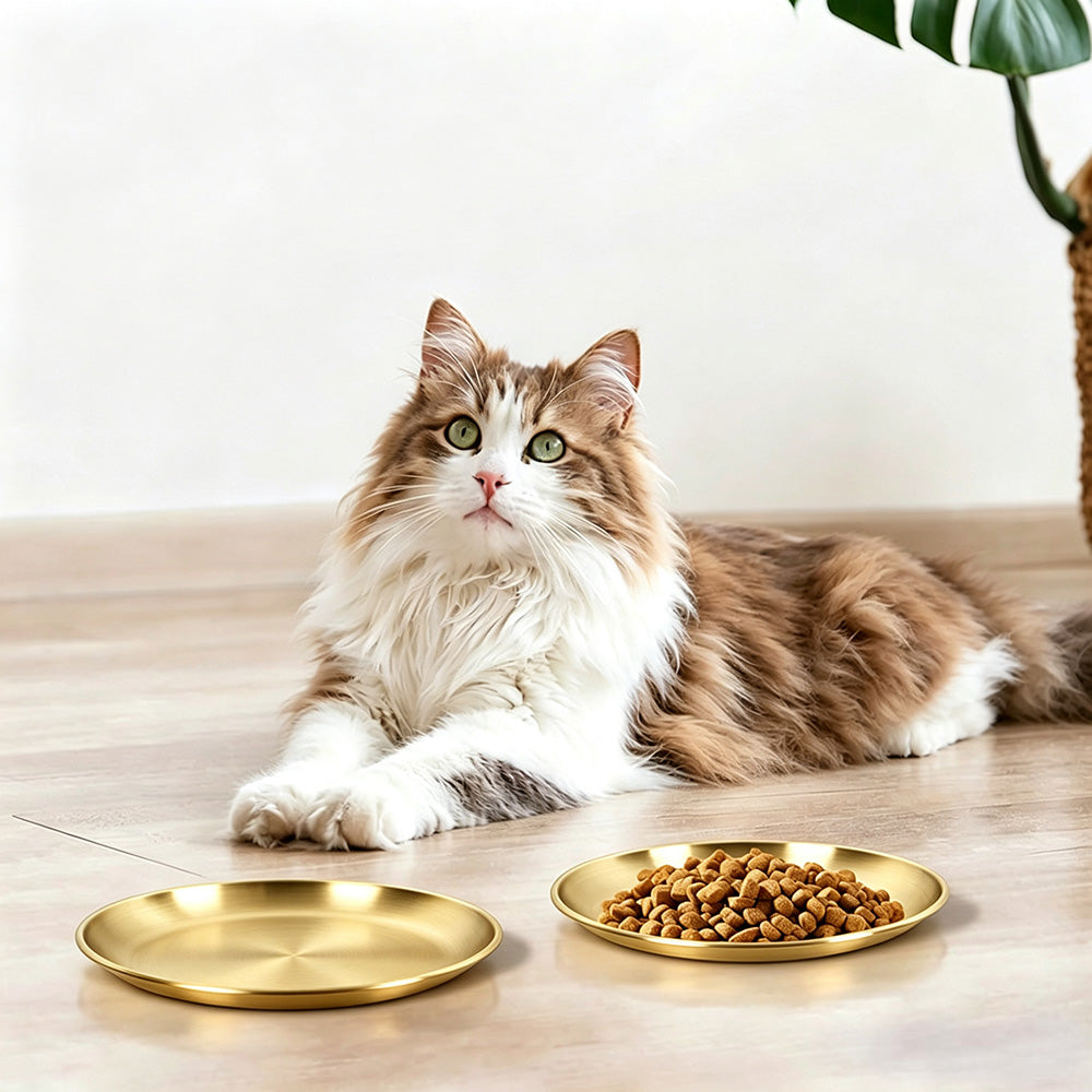 4Piece Stainless Steel Pet Bowls -Gold