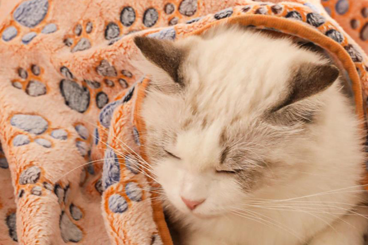 107x75cm Fluffy Fleece Dog Blanket Mat Paw Print Puppy Kitten Throw Blanket -Brown