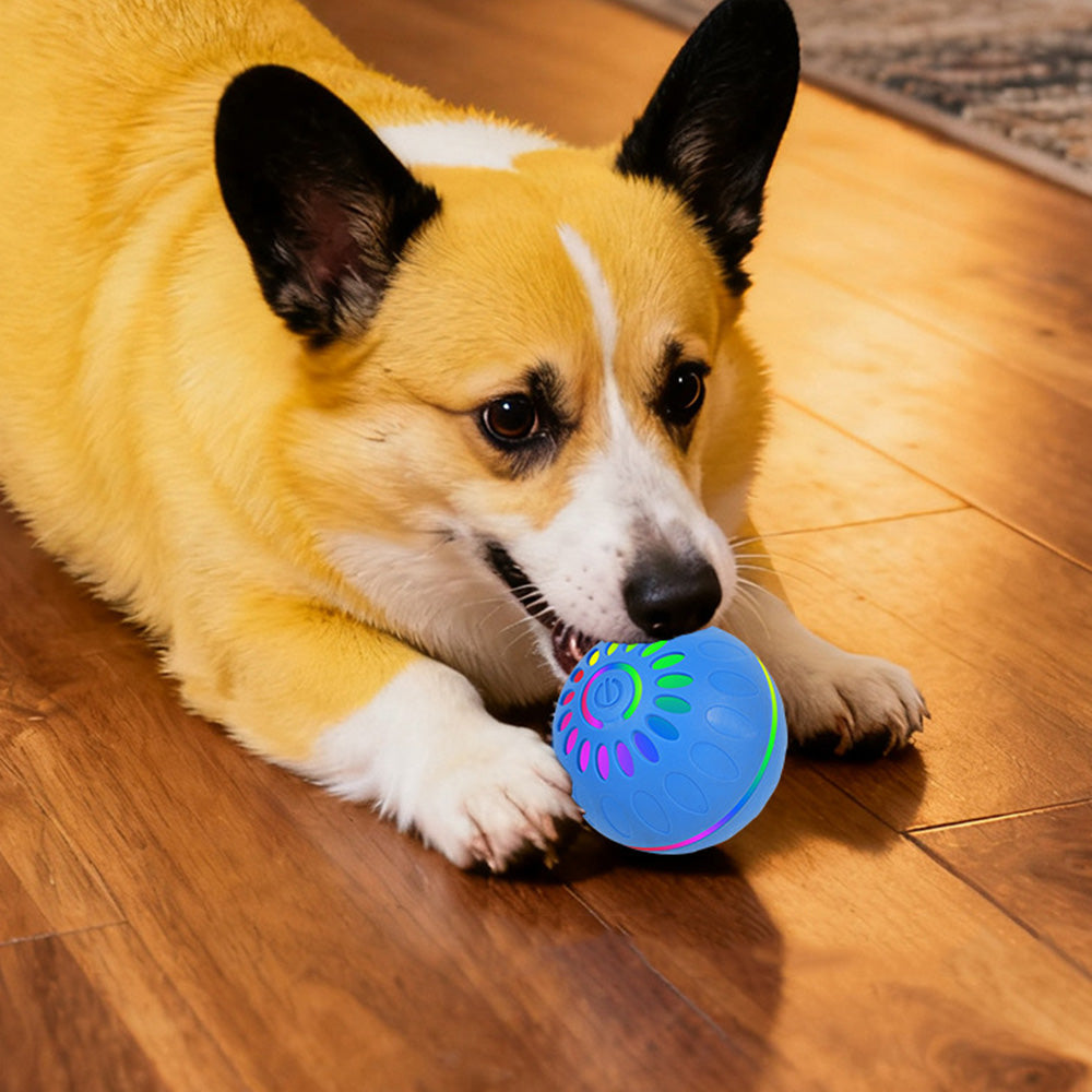 Interactive Dog Ball Toy Smart Moving Bouncing Dog Ball with LED Lights for Dogs Puppies-Blue