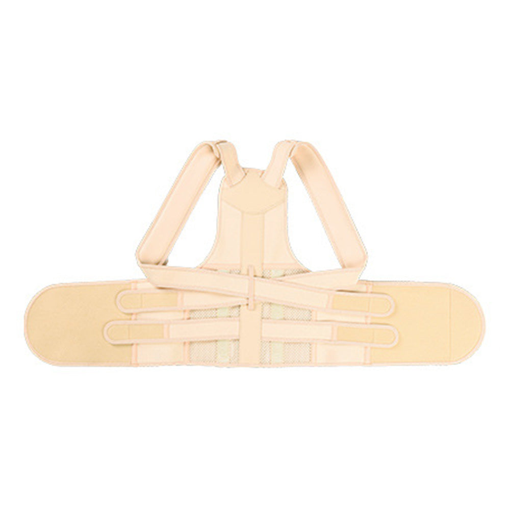 Posture Corrector  Adjustable Back Brace Support Strap Nude