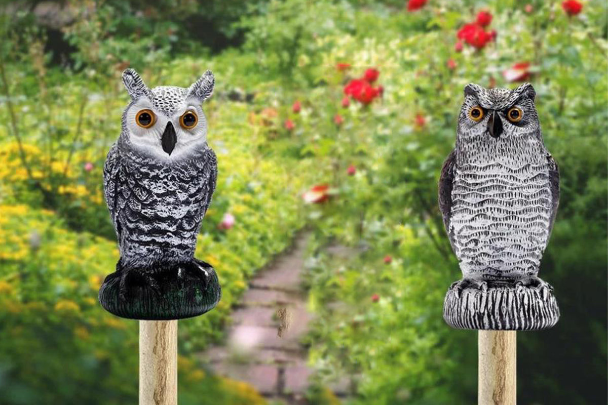 Large Fake Owl Decoy to Scare Birds Away Garden Bird Deterrents for Outside -Red