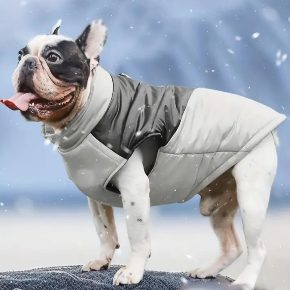 Winter Warm Pet Vest Jacket Water-resistant Reflective Padded Coat Puppy Dog Clothes Gray