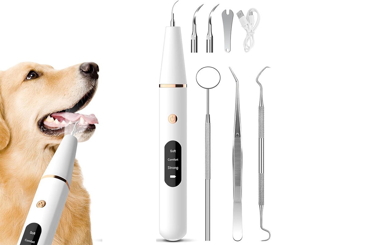 Dog Plaque Remover for Teeth Pet Ultrasonic Tooth Cleaner with LED Light 3-Adjustable Modes