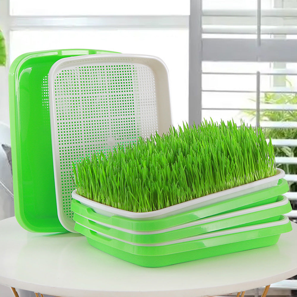 5Pcs Set Seed Sprouting Trays with Drain Holes Microgreens Growing Container Seed Germination Propagation Trays