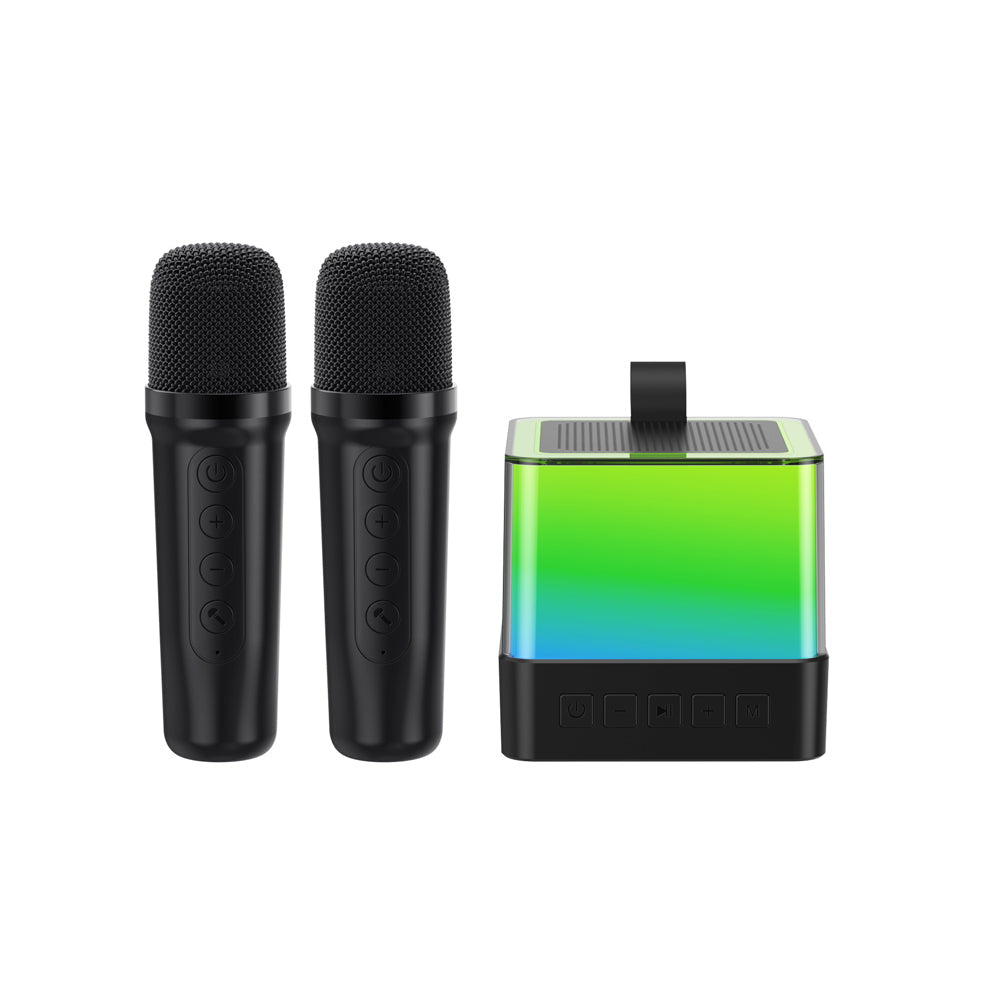 Mini Karaoke Machine Portable Bluetooth Speaker with 2 Wireless Microphones Black