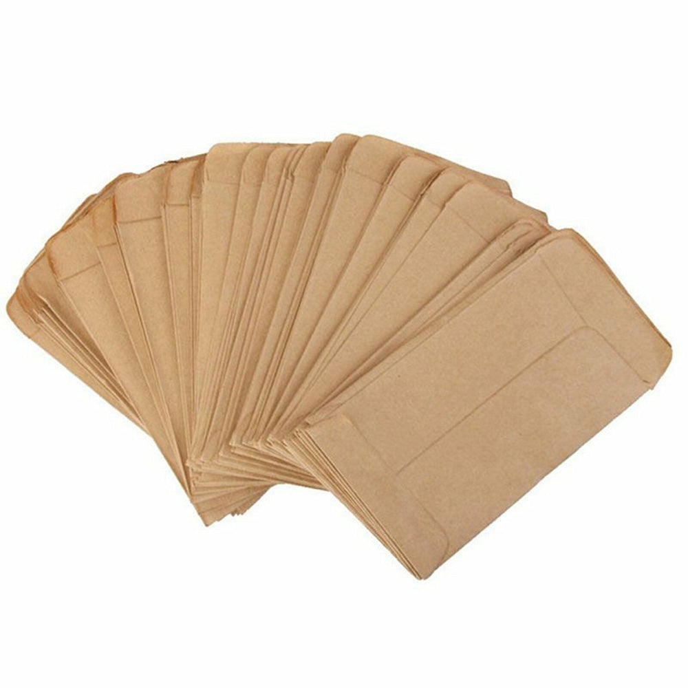 100-Pack Kraft Paper Seed Envelopes Garden Home Storage Bags Mini Envelopes 6x11cm for Seeds Jewelry