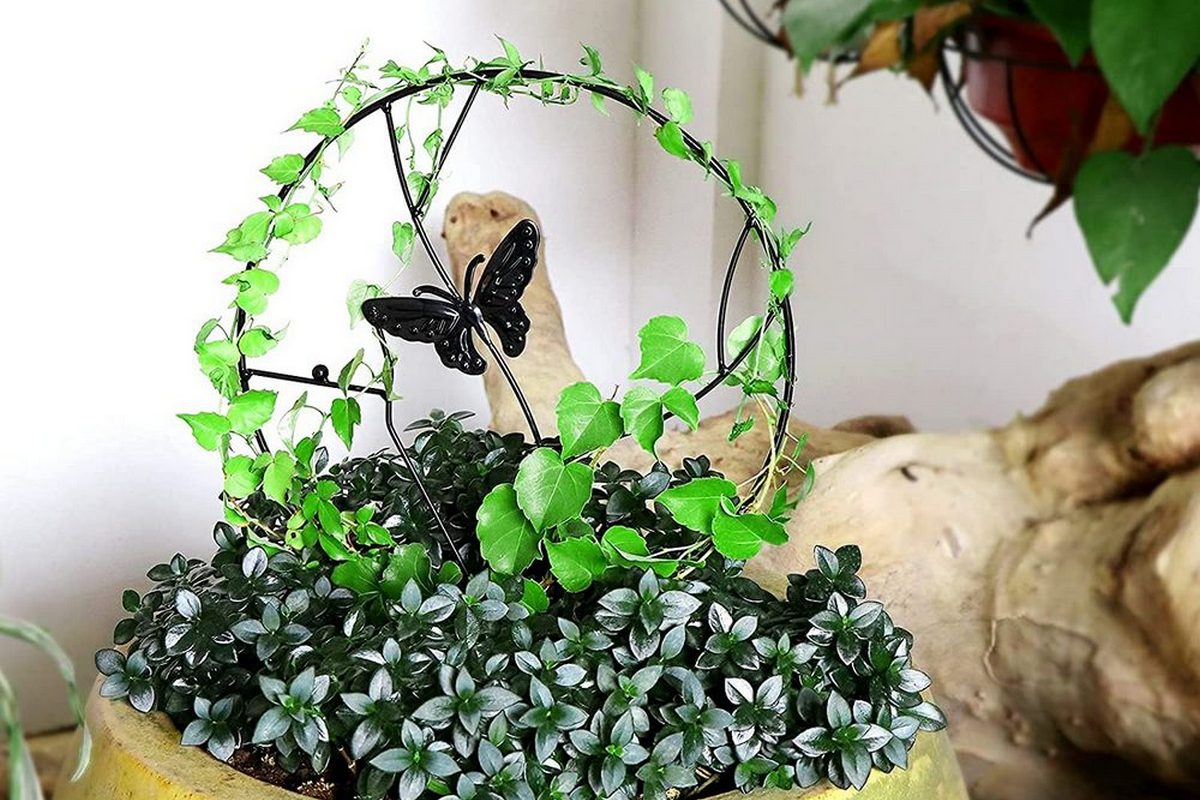 Plant Support Stakes Metal Holder Flower Pot Climbing Trellis-butterfly