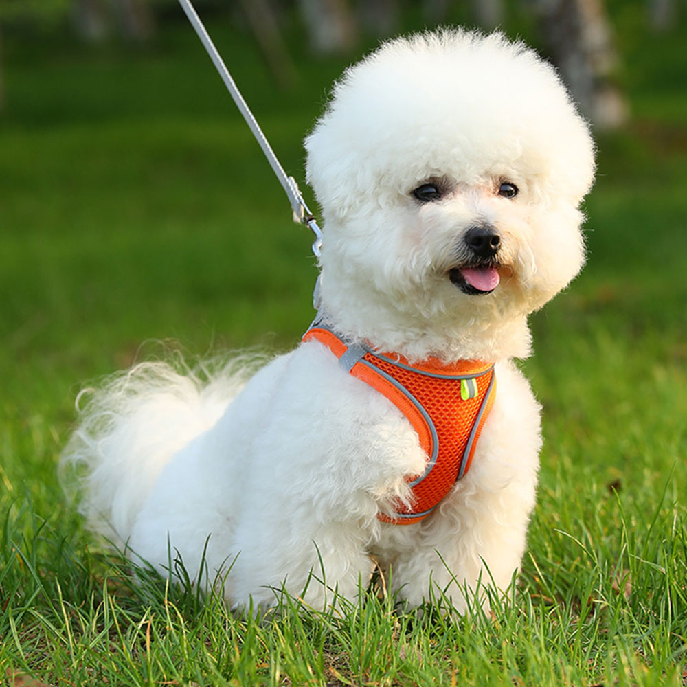 Pet Cat Harness and Leash Set Breathable Vest with Reflective Strip for Kitten Walking Traveling Orange