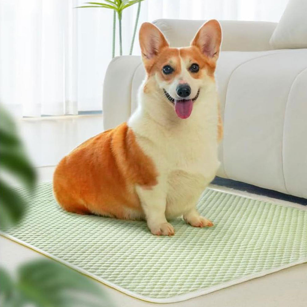 Pet Cooling Mat Dog Cat Breathable Summer Cooling Pad Light Green
