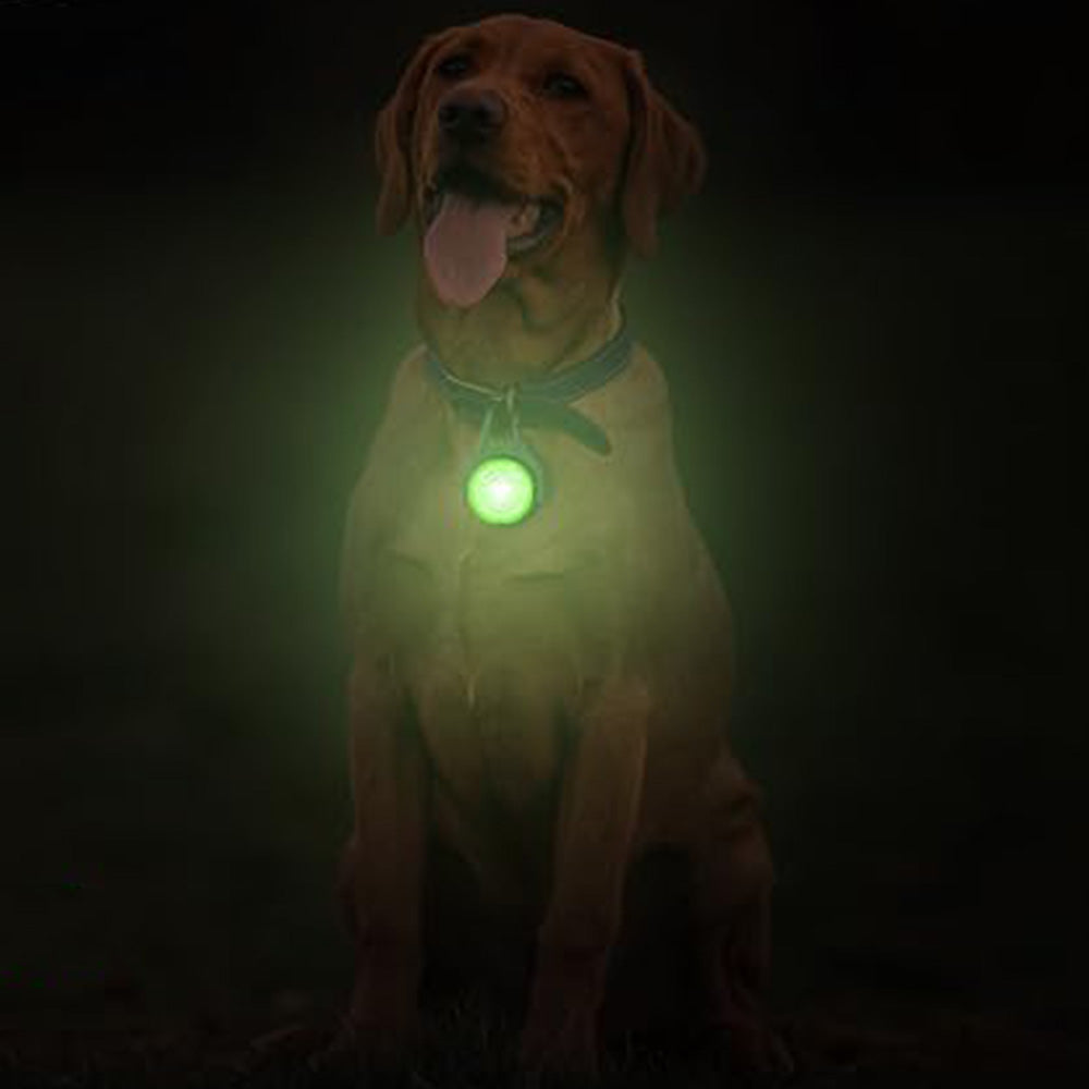4-Mode Dog Collar Light for Night Walking Rechargeable Pet Collar LED Light Green