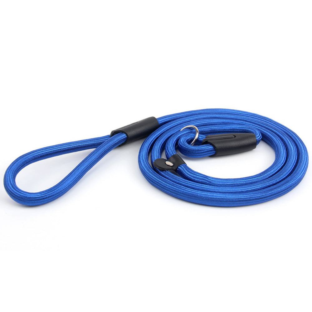 2 Pack 140cm Nylon Slip Lead Dog Leash P Chain Pet Training Rope Blue