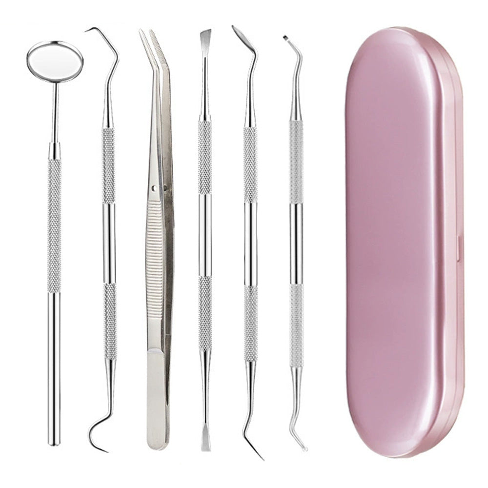 Professional Dental Tool Kit 6 Piece Stainless Steel Oral Care Set Pink