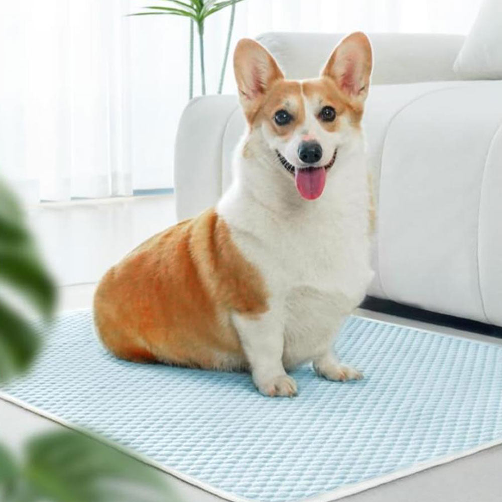 Pet Cooling Mat Dog Cat Breathable Summer Cooling Pad Light Blue