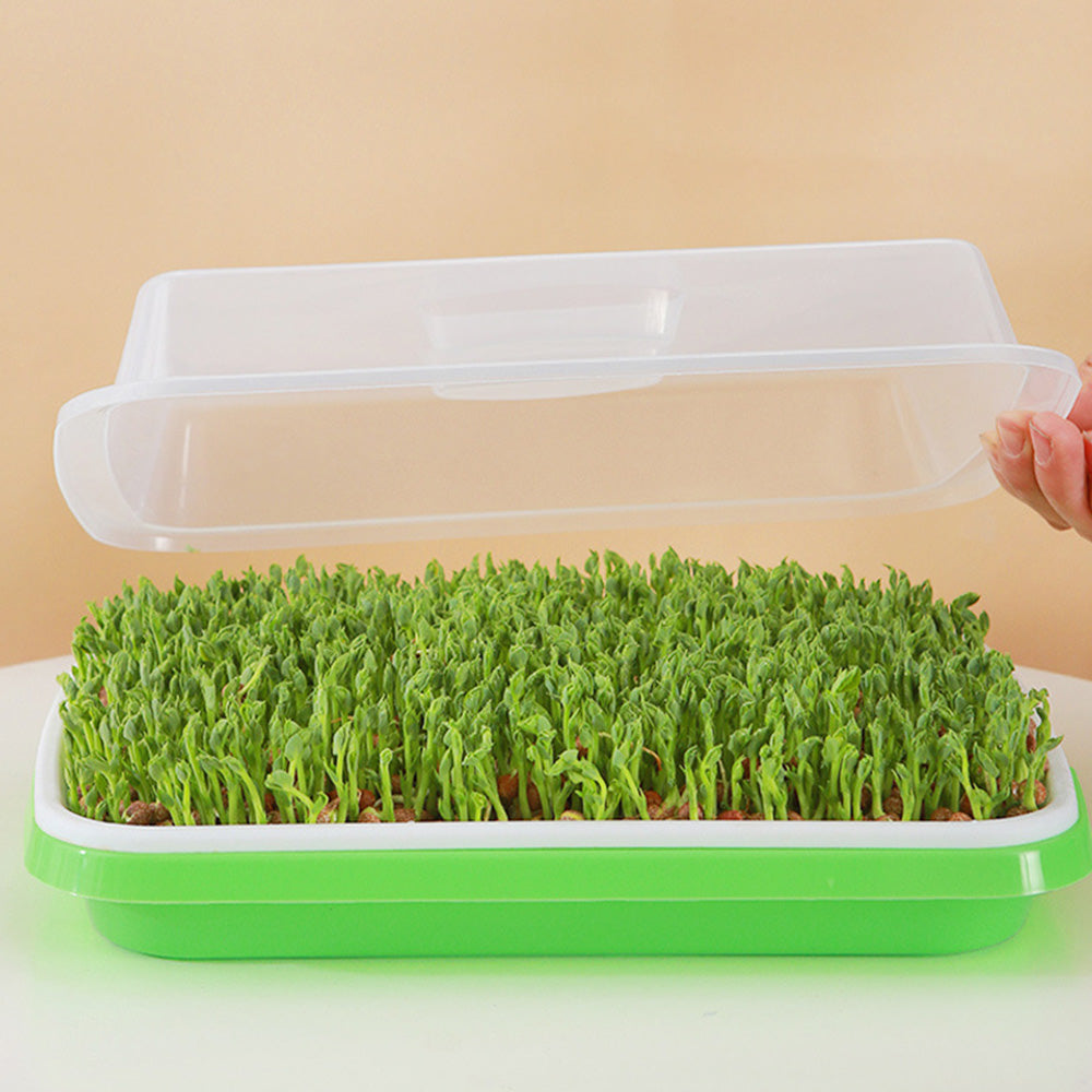 5Pcs Set Seed Sprouting Trays with Drain Holes Microgreens Growing Container Seed Germination Propagation Trays